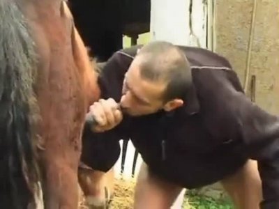 Голый русский мужчина сосёт конский член, пока не кончит