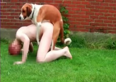 Муж снял зоопорно жены с собакой на заднем дворе дома